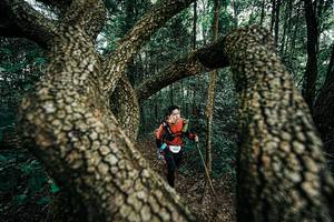 BIB: 
                            <button type="button" onclick="openModal(25394130)" class="btn btn-primary btn-sm float-right btn-popup" data-toggle="modal" data-target=".modal-high-quality">
                        <i class="fas fa-shopping-cart"></i> Add to Cart
                    </button>
                                            <button type="button" onclick="isThisMe(25394130, true)" class="btn btn-success btn-sm float-right btn-popup btn-isme hidden" data-toggle="tooltip" data-placement="bottom" title="นี่คือรูปของคุณใช่ไหม คลิกที่นี่เพื่อเอาเข้าอัลบั้ม">
                        <i class="fas fa-plus"></i> Add to album
                    </button>
                    <button type="button" onclick="isThisMe(25394130, false)" class="btn btn-warning btn-sm float-right btn-popup btn-isnotme hidden">
                        <i class="fas fa-ban"></i> Remove from album
                    </button>